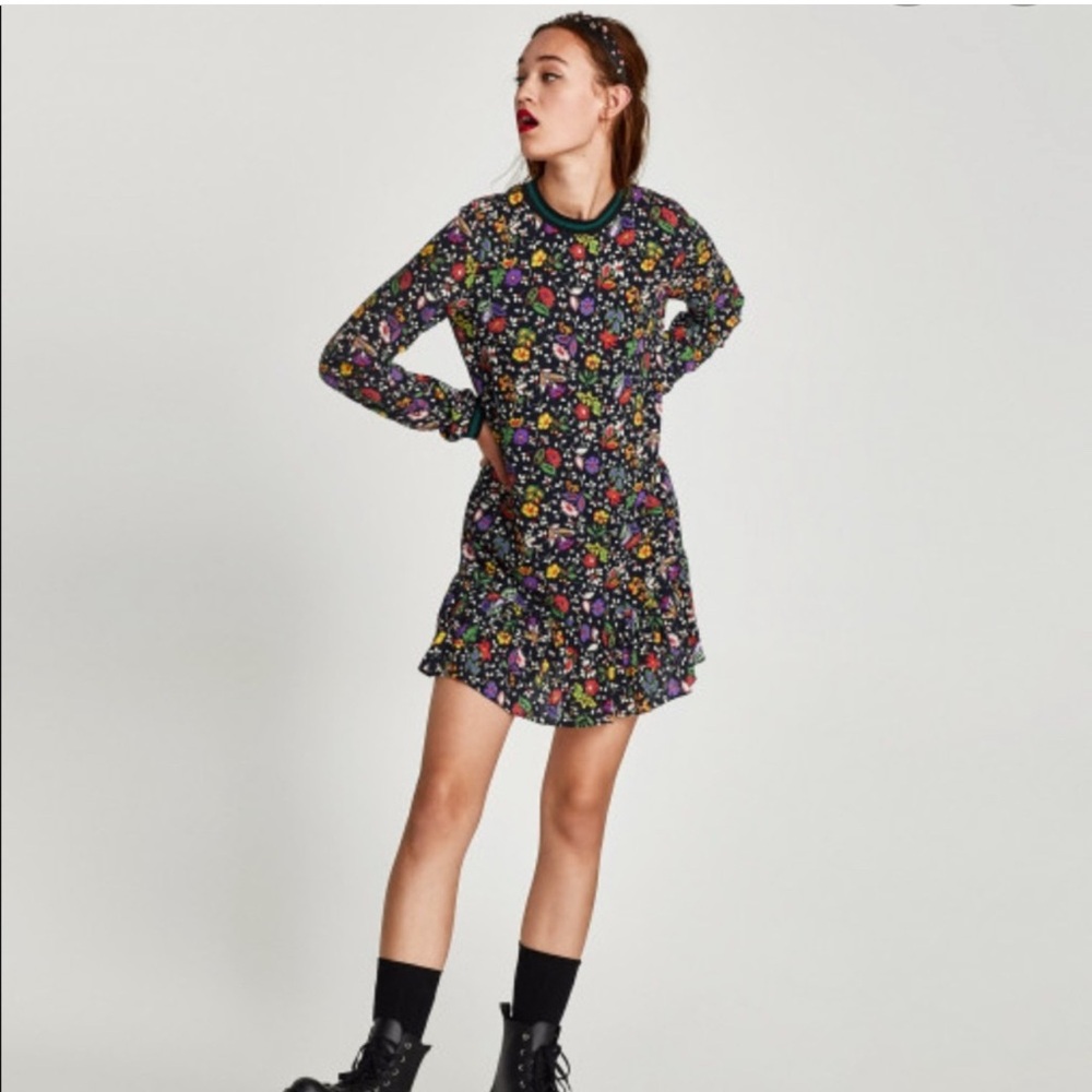 Zara Multicolor Floral Long Sleeve Dress